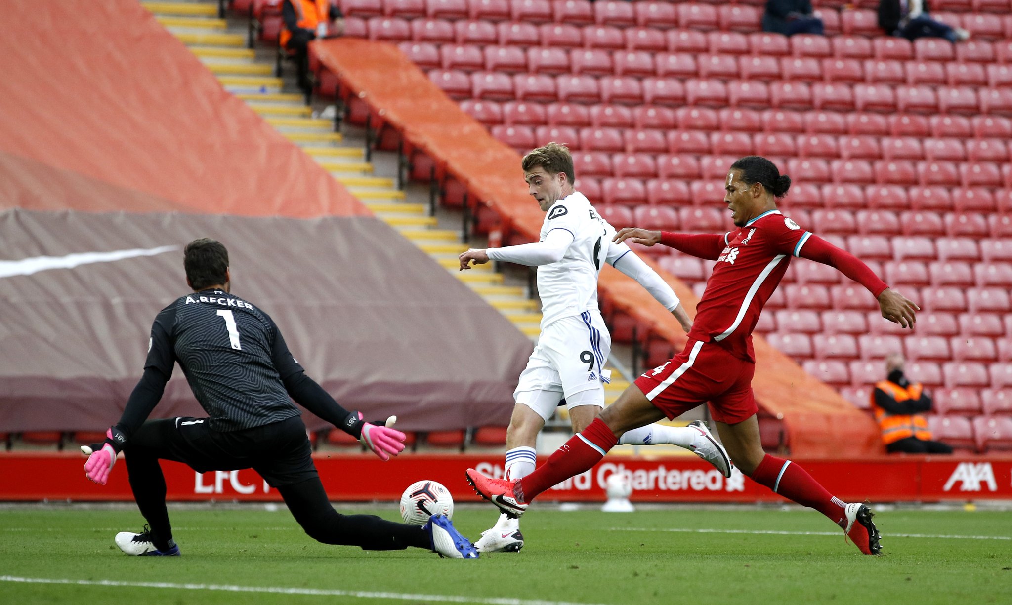 雄鹿的作用 雄鹿的作用